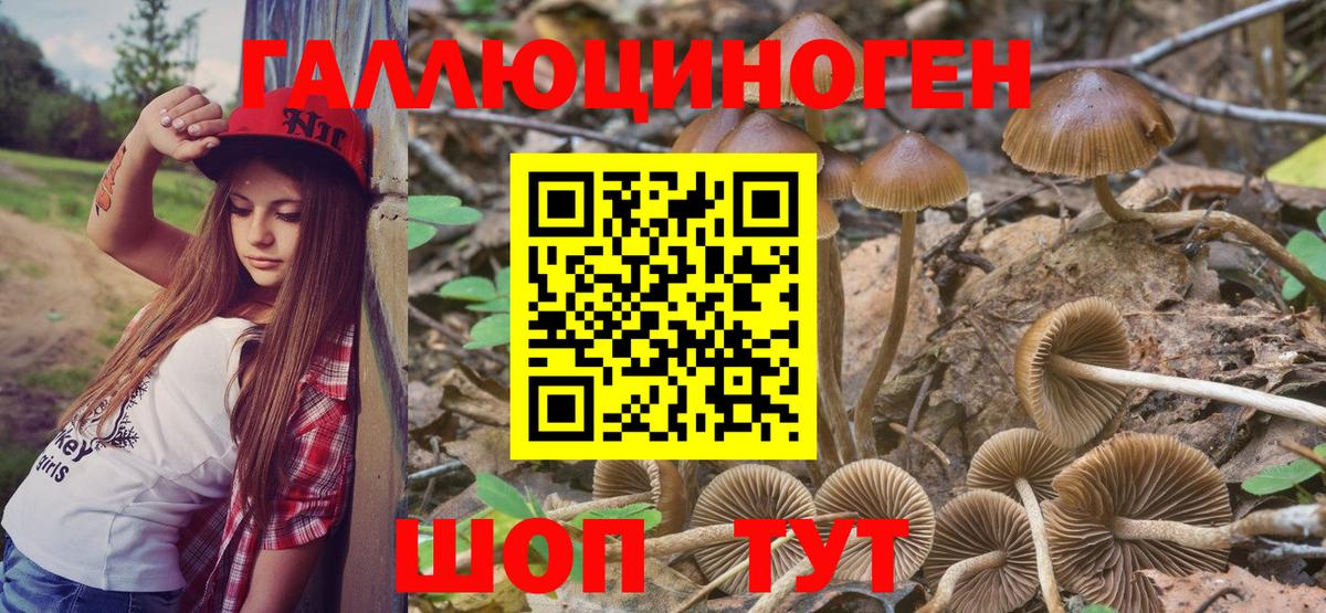 Галлюциногенные грибы MAGIC MUSHROOMS Соликамск